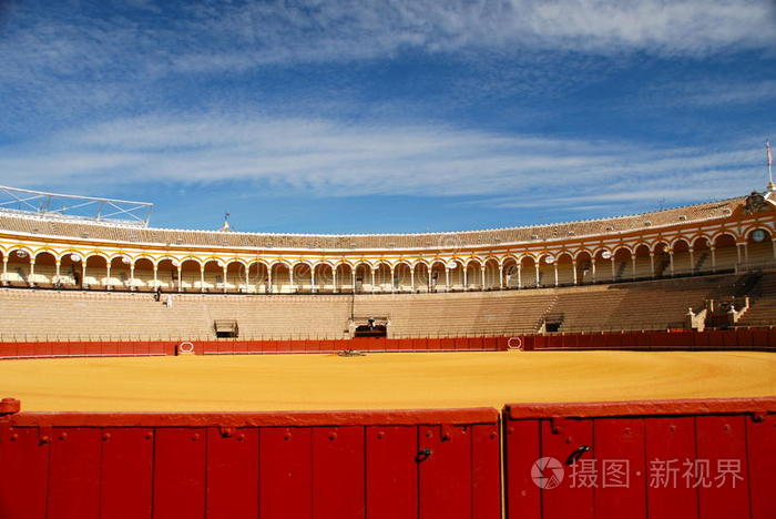关于塞维利亚主场胜利，重回胜利轨道的信息