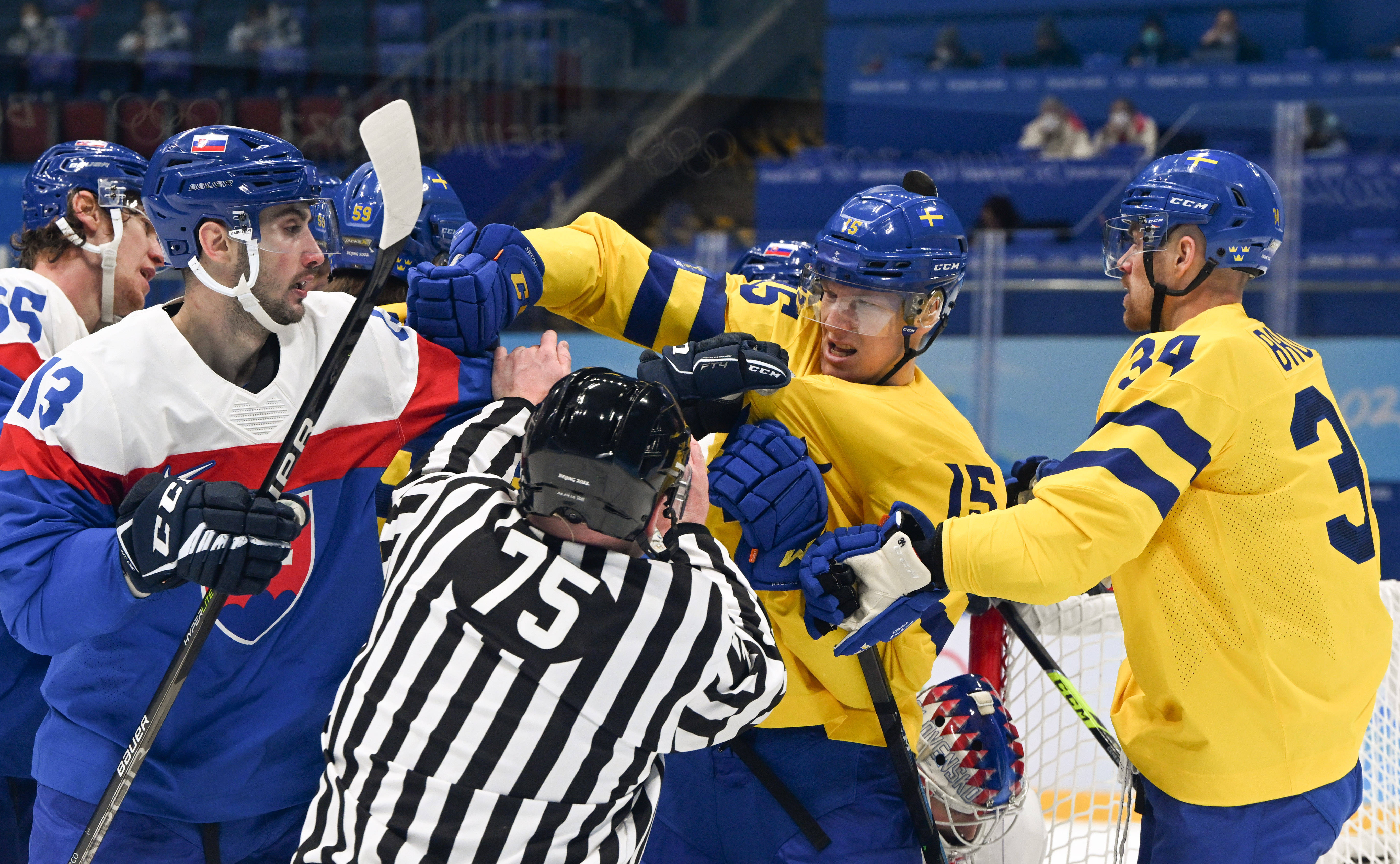 瑞典队在对阵斯洛伐克队的激战中逆转胜利