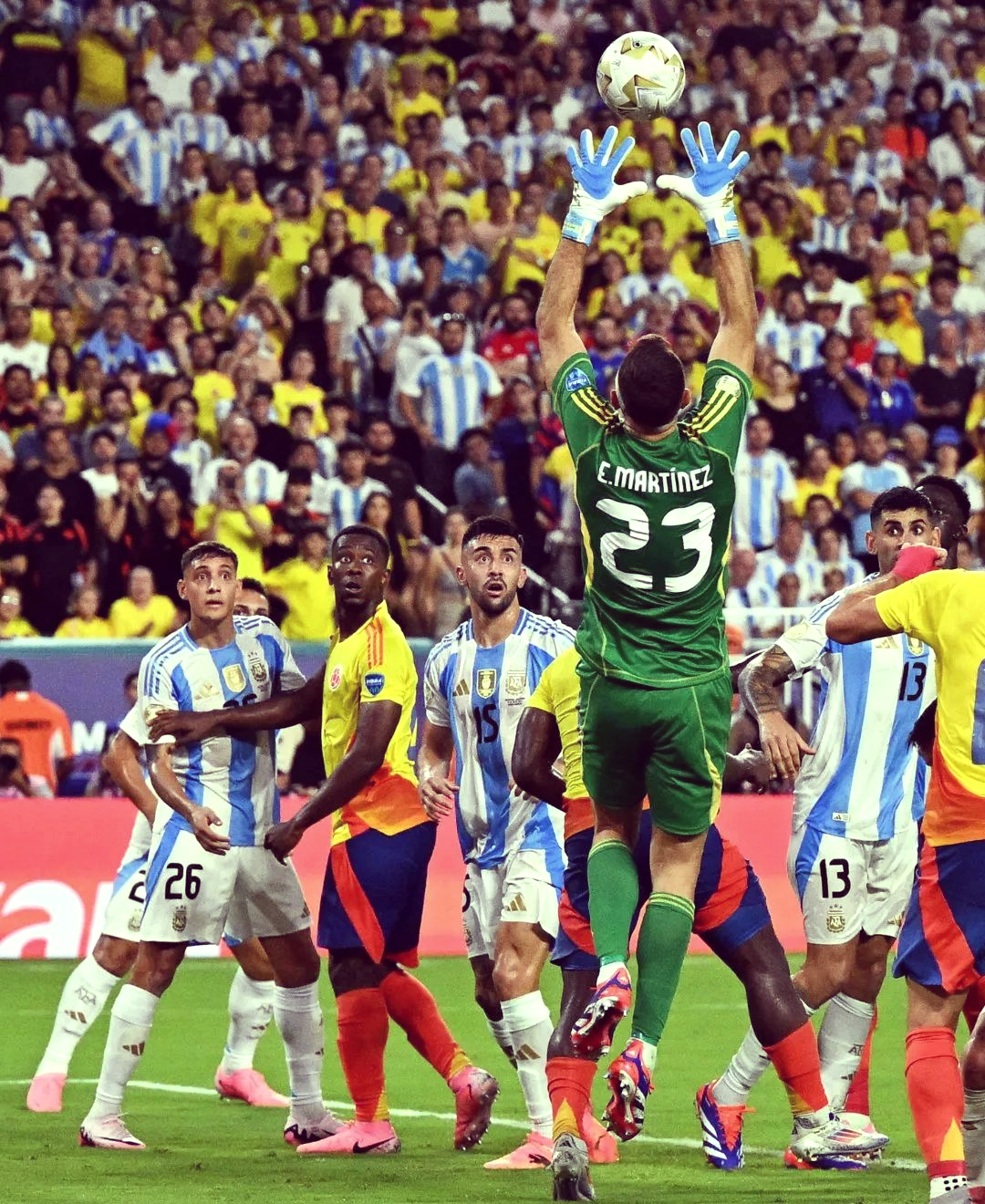 包含阿根廷队斩获南美锦标赛冠军，实力无敌的词条