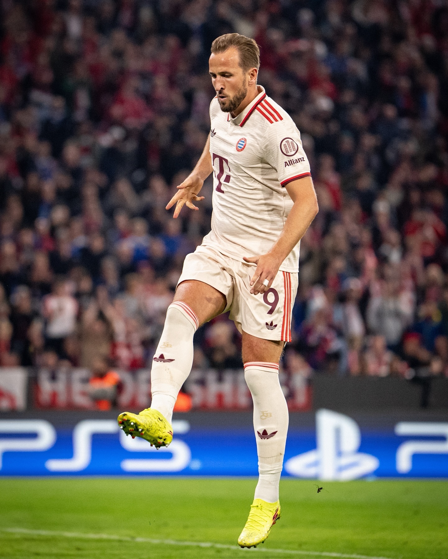 关于摩洛哥逆转英格兰，穆勒刷新纪录的信息